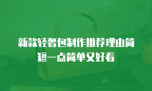 新款轻奢包制作推荐理由简短一点简单又好看
