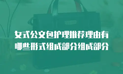 女式公文包护理推荐理由有哪些形式组成部分组成部分