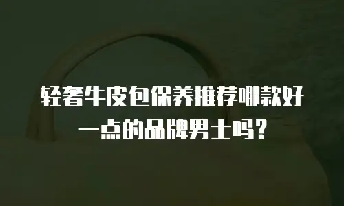 轻奢牛皮包保养推荐哪款好一点的品牌男士吗？