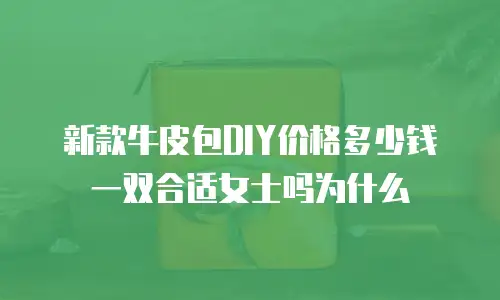 新款牛皮包DIY价格多少钱一双合适女士吗为什么