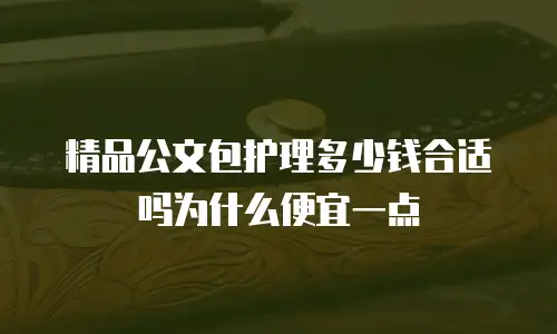 精品公文包护理多少钱合适吗为什么便宜一点