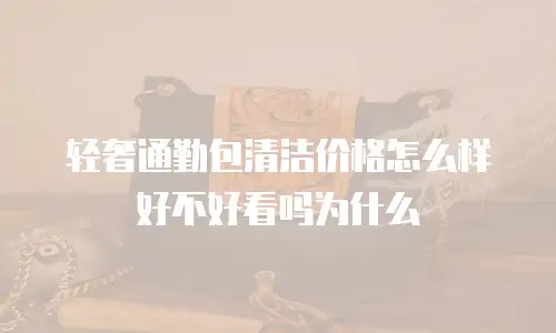 轻奢通勤包清洁价格怎么样好不好看吗为什么