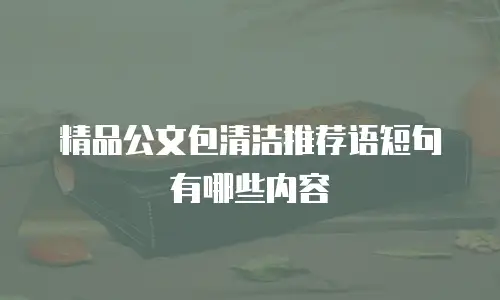 精品公文包清洁推荐语短句有哪些内容