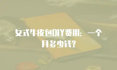 女式牛皮包DIY费用：一个月多少钱？