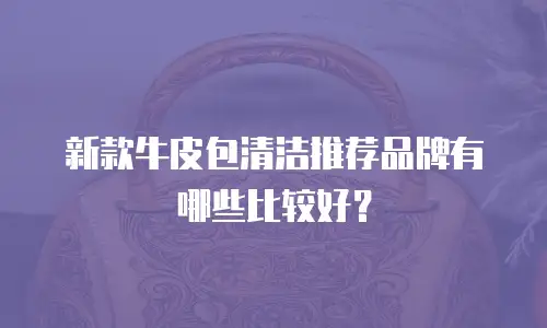 新款牛皮包清洁推荐品牌有哪些比较好？