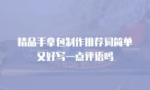 精品手拿包制作推荐词简单又好写一点评语吗