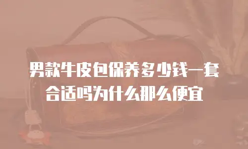 男款牛皮包保养多少钱一套合适吗为什么那么便宜