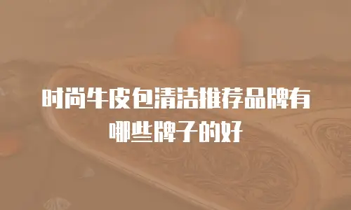 时尚牛皮包清洁推荐品牌有哪些牌子的好