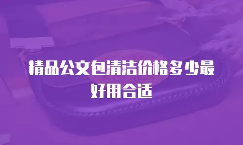 精品公文包清洁价格多少最好用合适