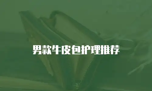 男款牛皮包护理推荐