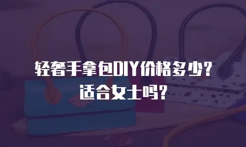 轻奢手拿包DIY价格多少？适合女士吗？