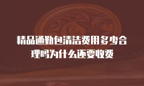 精品通勤包清洁费用多少合理吗为什么还要收费