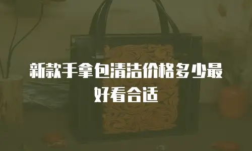 新款手拿包清洁价格多少最好看合适