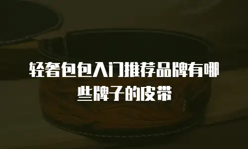 轻奢包包入门推荐品牌有哪些牌子的皮带