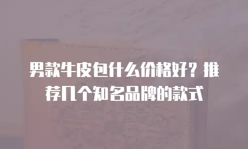男款牛皮包什么价格好？推荐几个知名品牌的款式