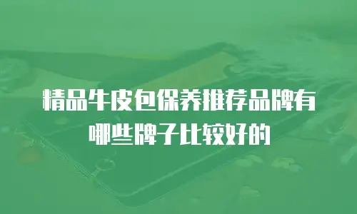 精品牛皮包保养推荐品牌有哪些牌子比较好的