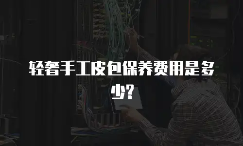 轻奢手工皮包保养费用是多少?