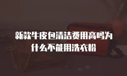 新款牛皮包清洁费用高吗为什么不能用洗衣粉