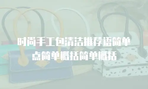 时尚手工包清洁推荐语简单点简单概括简单概括