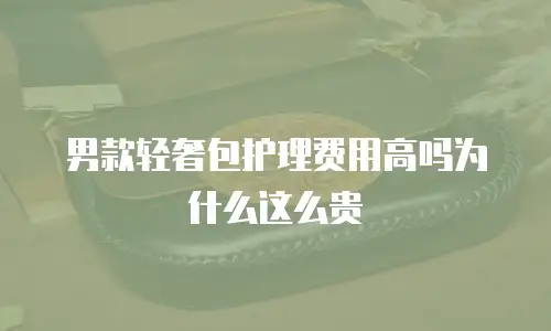男款轻奢包护理费用高吗为什么这么贵