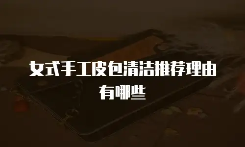 女式手工皮包清洁推荐理由有哪些