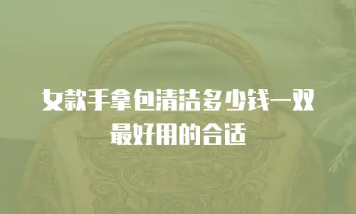 女款手拿包清洁多少钱一双最好用的合适