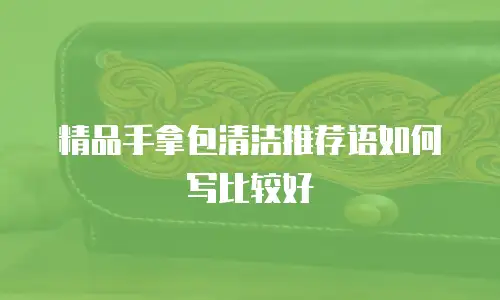 精品手拿包清洁推荐语如何写比较好