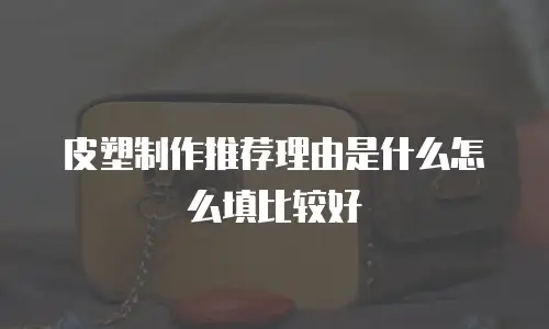 皮塑制作推荐理由是什么怎么填比较好