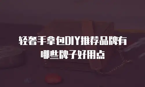 轻奢手拿包DIY推荐品牌有哪些牌子好用点
