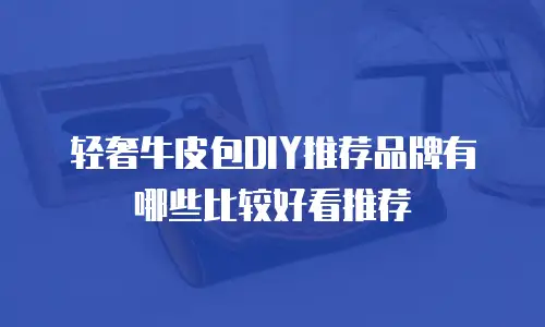 轻奢牛皮包DIY推荐品牌有哪些比较好看推荐
