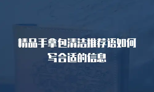 精品手拿包清洁推荐语如何写合适的信息