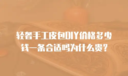 轻奢手工皮包DIY价格多少钱一条合适吗为什么贵？