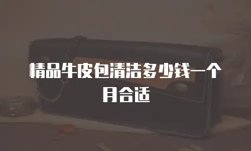 精品牛皮包清洁多少钱一个月合适