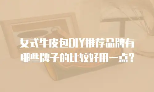 女式牛皮包DIY推荐品牌有哪些牌子的比较好用一点？