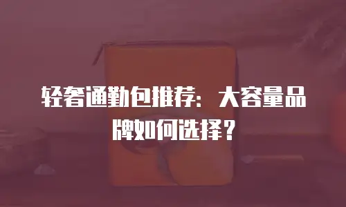 轻奢通勤包推荐：大容量品牌如何选择？
