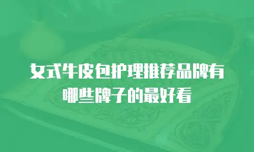 女式牛皮包护理推荐品牌有哪些牌子的最好看