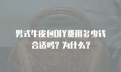 男式牛皮包DIY费用多少钱合适吗？为什么？