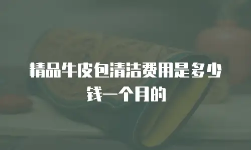 精品牛皮包清洁费用是多少钱一个月的