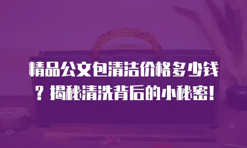 精品公文包清洁价格多少钱？揭秘清洗背后的小秘密！
