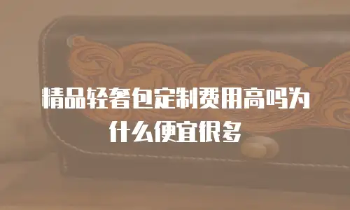 精品轻奢包定制费用高吗为什么便宜很多