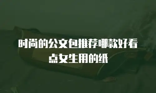 时尚的公文包推荐哪款好看点女生用的纸