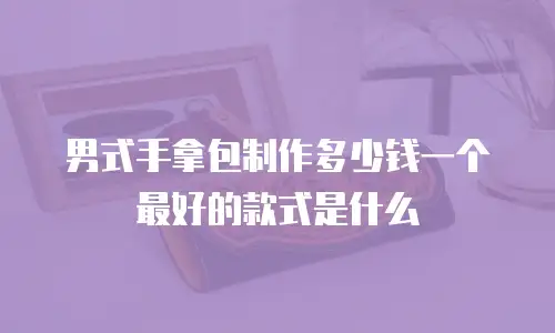 男式手拿包制作多少钱一个最好的款式是什么