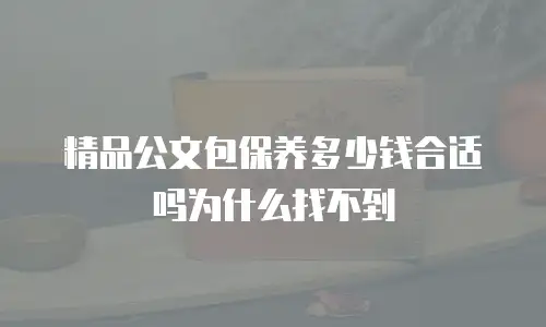 精品公文包保养多少钱合适吗为什么找不到