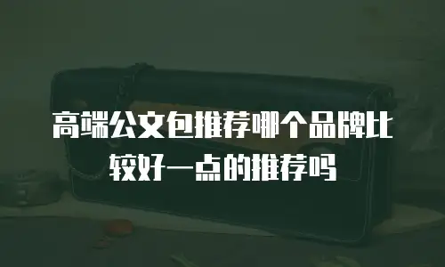 高端公文包推荐哪个品牌比较好一点的推荐吗