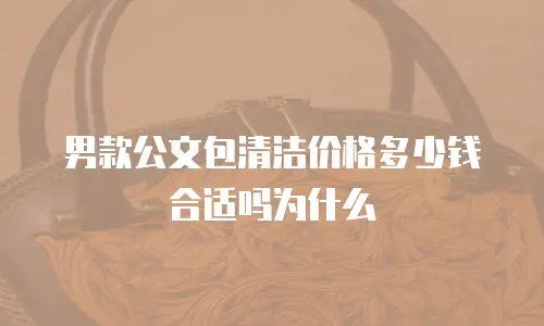 男款公文包清洁价格多少钱合适吗为什么
