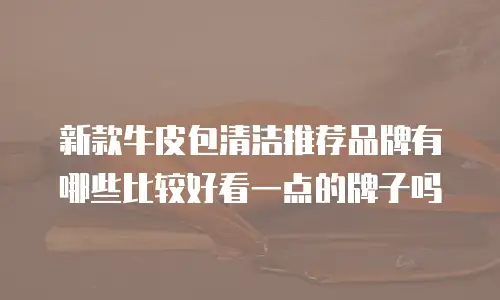 新款牛皮包清洁推荐品牌有哪些比较好看一点的牌子吗