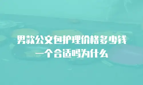 男款公文包护理价格多少钱一个合适吗为什么