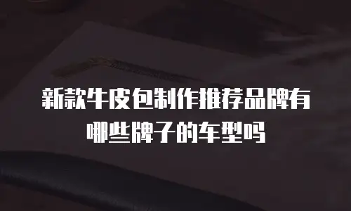 新款牛皮包制作推荐品牌有哪些牌子的车型吗