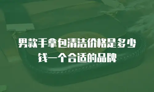 男款手拿包清洁价格是多少钱一个合适的品牌