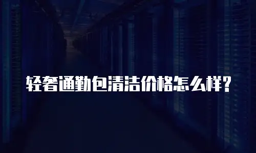 轻奢通勤包清洁价格怎么样?